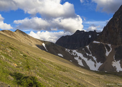 Alpine tundra and peaks of snow
