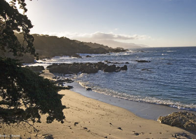 Beach view under morning light