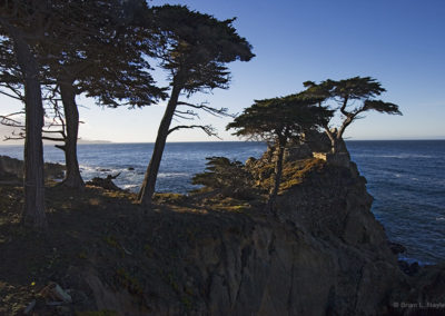 Morning fringe lighting touches the coast and Cypress Point