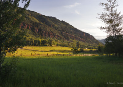 Country fields in early light