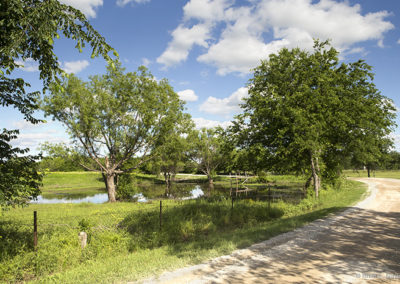 Sunny afternoon in the country