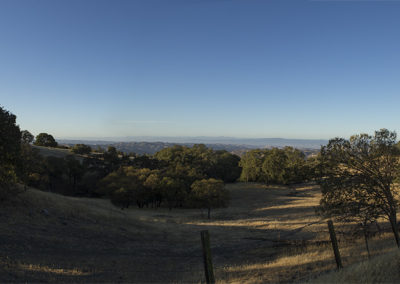 Morning vista in long shadows