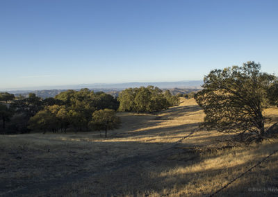 Morning shadows and golden hills