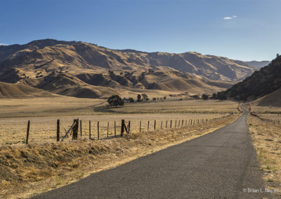 Roadways through golden hills