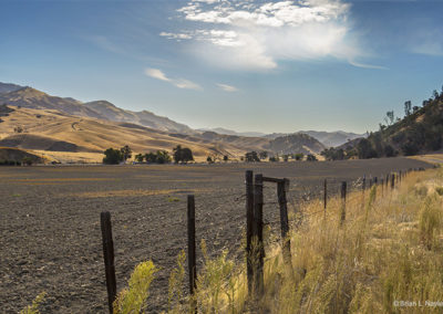 Country fields and golden hills