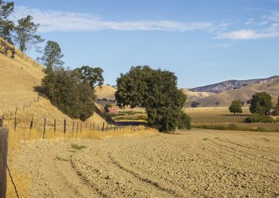 Country fields and golden hills