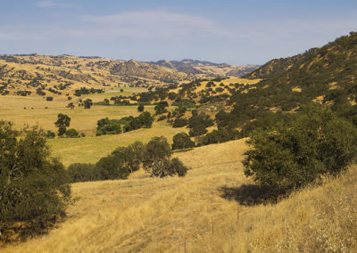 Hills of oak and valleys of gold