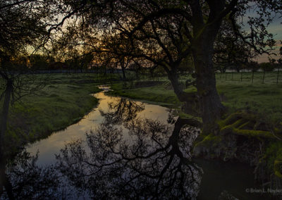 Early light reflected on still waters