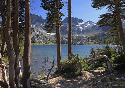 Lake view through trees