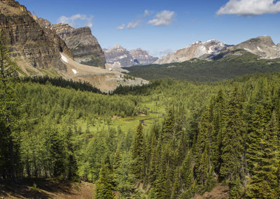 Panoramic view of forest and mountains
