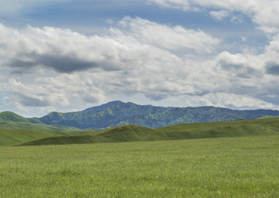 Country view in spring time