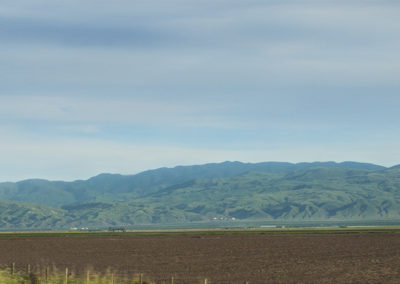 California hills in spring splendor