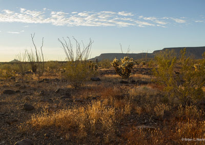 Southwest morning glow