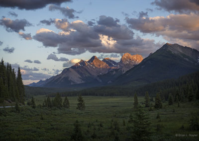Meadow view in the golden hour