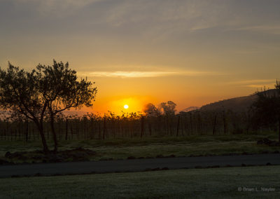 Sunrise through the mist