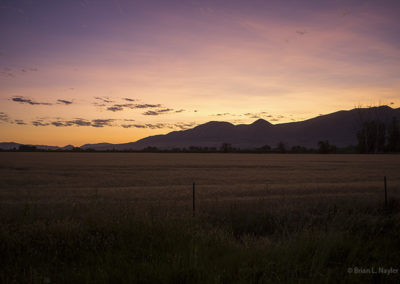 Fields under early morning light